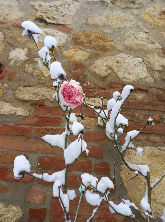 Agriturismo Ardene Villa Montepulciano Stazione Exteriör bild